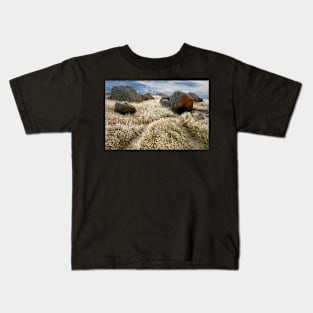 Grass tails among the granite Kids T-Shirt